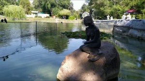 ОБЗОР ГОРОДА САРАТОВА #2 . ГОРОДСКОЙ ПАРК, РЫНОК СЕННОЙ, СГУ.