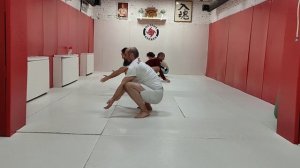 Тренировка Animal Flow с акцентом на движение Front kickthrough, flow level 1