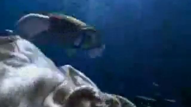 Ariston Aqualtis - Deeply Different смотреть онлайн