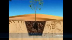 Капсульное почвообразование биогелем из сапропеля и бурого угля