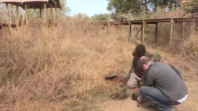 Zambia Toka Leya 2015 Large 540p смотреть онлайн