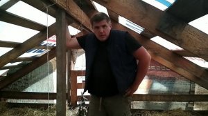 Организация пространства. Тентовое содержание свиней / Вьетнамские свиньи