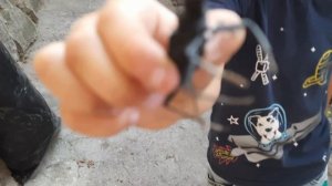 ОГРОМНЫЙ ЖУК|ЖУК-СТРИГУН|ВОЛОСОГРЫЗКА|БОГОМОЛ