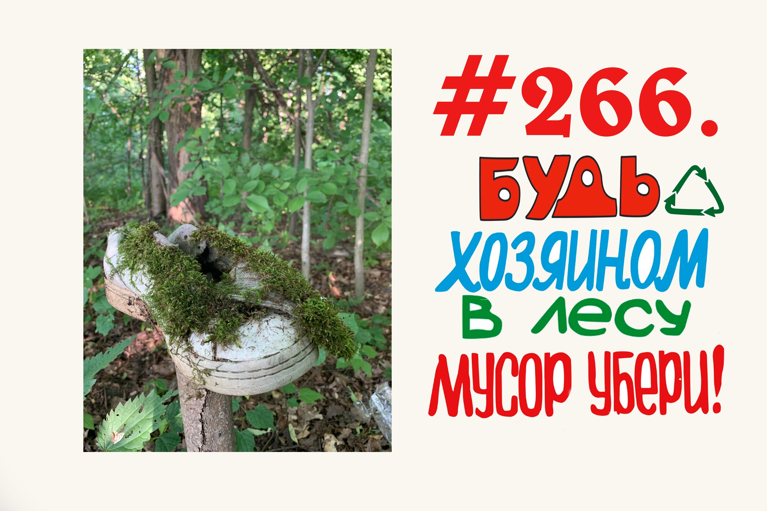 Экологический народный контроль в лесу ( 59 мешков мусора)  #266 Орехово-Зуево