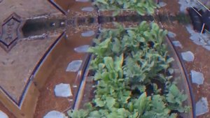 10 ГЕНИАЛЬНЫХ ТЕХНОЛОГИЙ В СЕЛЬСКОМ ХОЗЯЙСТВЕ.mp4