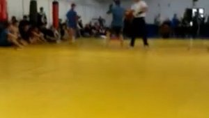 Кудо vs Боевое самбо