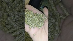 Гранула для кроликов! Делаю на грануляторе гкм 100 , 1,5 кВт 220в. Состав будет в следующем видео.