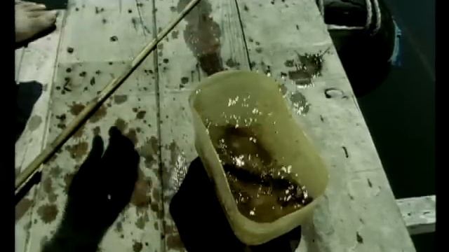 Hüseyin Turan - Gitme смотреть онлайн