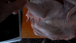 Курица еще живая