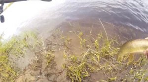 Ловля весенней щуки на джеркбейты skela