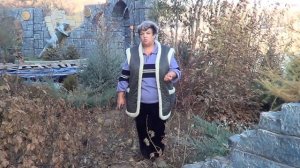 Садоводство. Смородина.Почему Падает Урожайность Смородины?. рубрика"Усадьба для души"