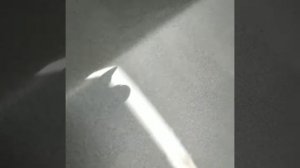 Ford Focus покраска в переход, в ребро.