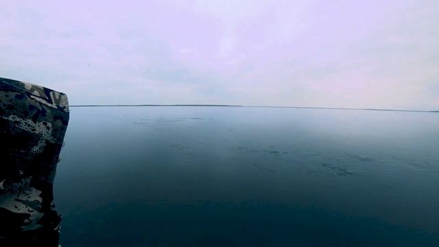 Реакция челябинцев на ямальскую рыбалку. Ждали щуку, а поймали нельму.