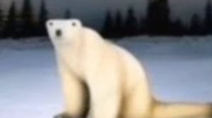 Медведь из 2026, ты чего...