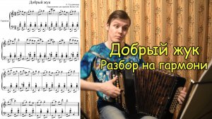 Добрый жук. Подробный разбор на гармони. Хроматизм фа#. Школа игры Котова Александра.