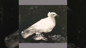 Пабло Пикассо. Голубь Мира.