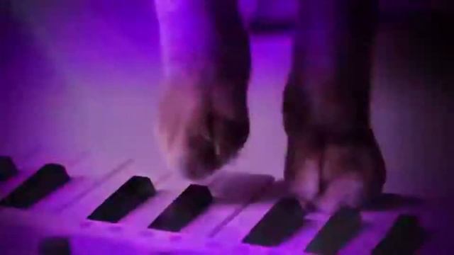 Отпразднуй в Party Time смотреть онлайн