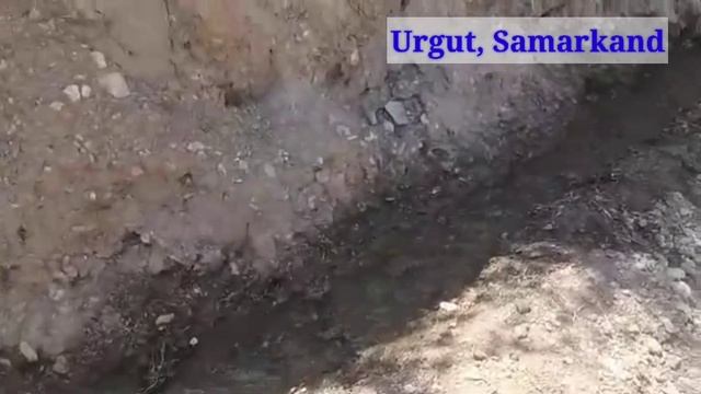 Как исползуют ишака на горах Ургута? #Urgut #Samarkand #Uzbekistan #Узбекистан #Ургут #Самарканд смотреть онлайн