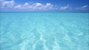 Белок. Где больше белка? Сколько белка