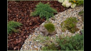 Заработок на сосновой коре в деревне без вложений 2022