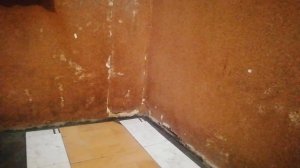 цементная стяжка на деревянный пол на даче. часть 3 . что произошло с полом через 10 лет.