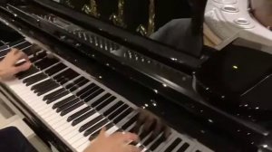 Рояль W. Hoffmann Professional P 206 - Георгий З. - Глинки.Ру PLAYZONE