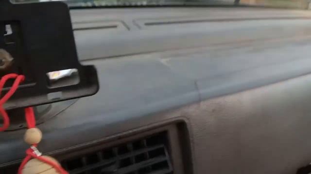 Террано 21 на трансплантацию