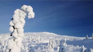 Кандалакша зимняя прогулка