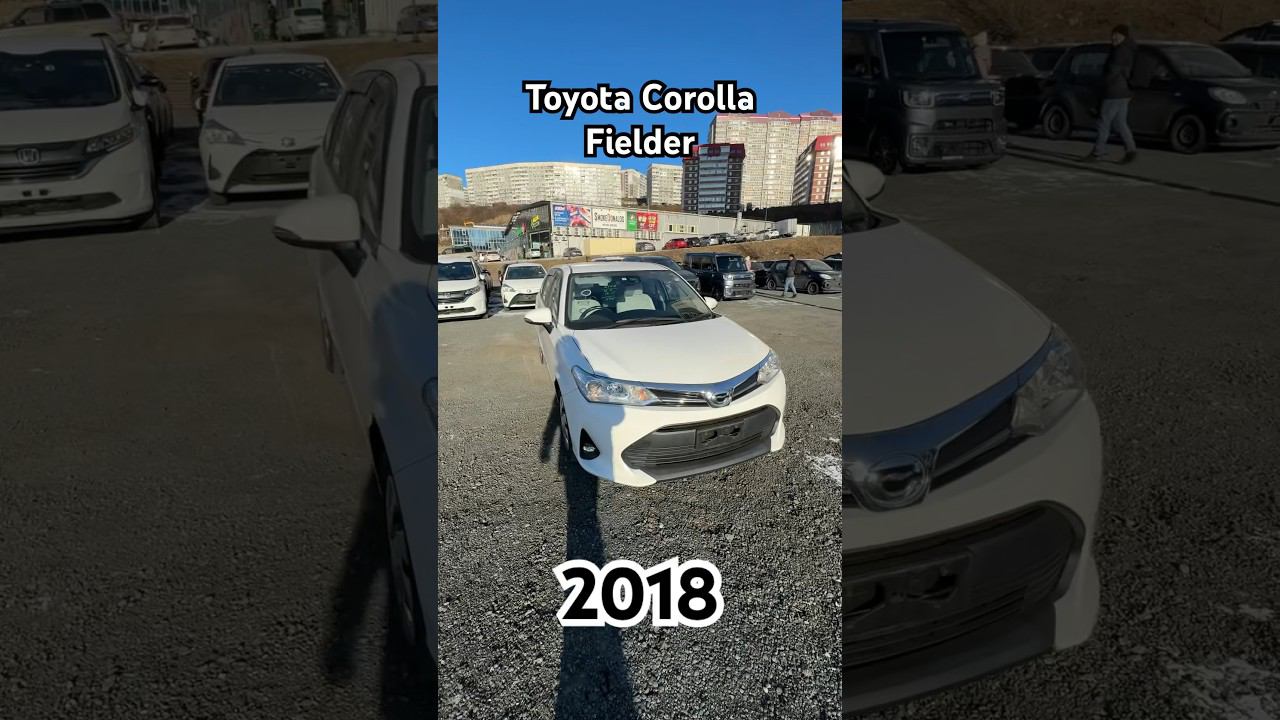 Самый ПОПУЛЯРНЫЙ ЯПОНЕЦ, краткий обзор Toyota Corolla Fielder. Ноябрь 2023. смотреть онлайн