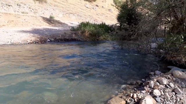 Ширкент лагер оби ширкент смотреть онлайн