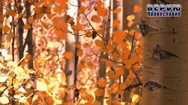 ✞ Атеизм, неверие - Игумен Никон (Воробьёв)