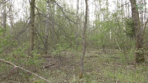 Тест камуфляжа Multicam. Часть 1. Весна / Camouflage test Multicam. Part 1. Spring