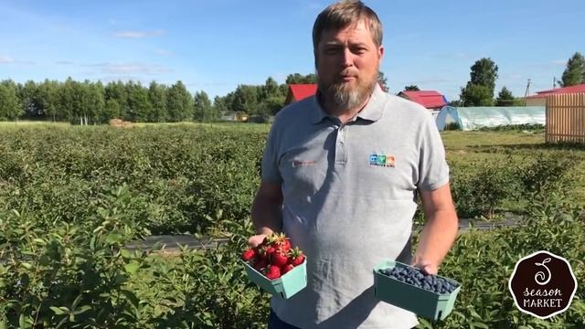 SeasonMarket на экоферме "Шуйские ягоды"