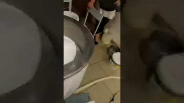 Работа сепаратора сливкоотделителя "Фермер" на 1 тонну в час смотреть онлайн