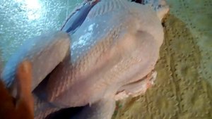 Забой индюка Хайбрид Конвертер 5 месяцев Часть 3 / ИТОГ СОДЕРЖАНИЯ