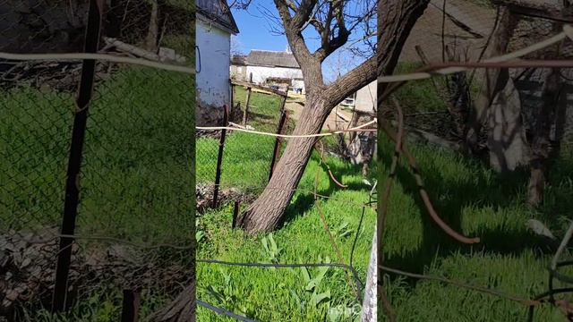 Земельный участок ИЖС 27 соток в пригороде Новороссийска ( Раевка, х. Победа) смотреть онлайн