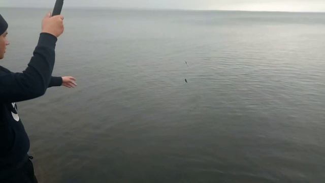 Как выжить во время карантина без денег смотреть онлайн