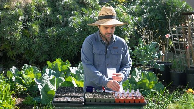 ALL Of The Tomatoes And Peppers I Am Growing | 2024 Lineup смотреть онлайн