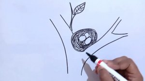 How To Draw Bird Nest |Bird Nest Drawing Step By Step Very Easy |Draw Bird Nest With Eggs in Tree