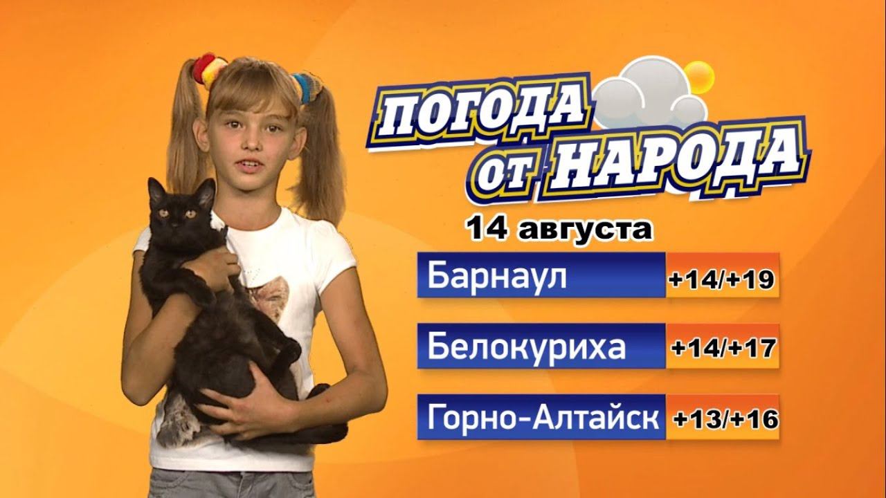 Погода в бийске года