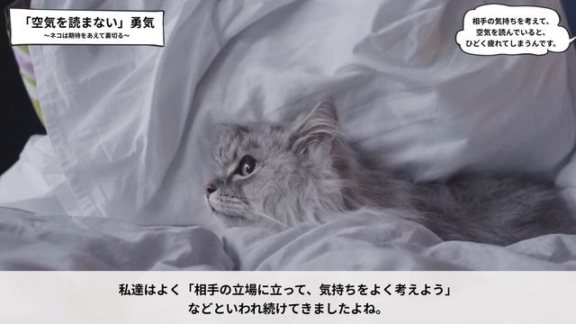 【心理学】ニャンと簡単に身につく! 心が休まる「アドラー心理学」をご紹介します！【心理学の本を要約】 смотреть онлайн