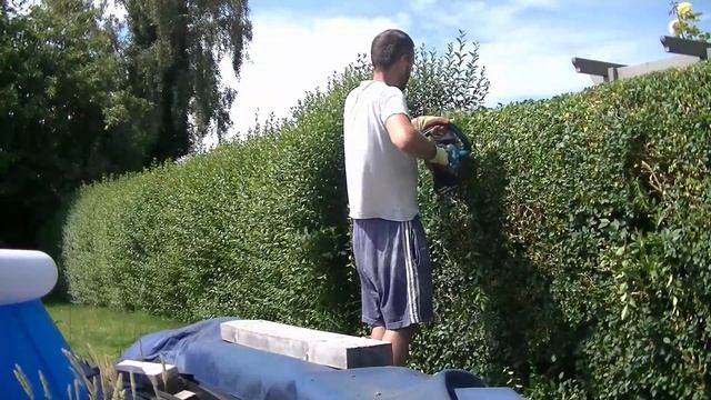 Makita DUH751Z cordless hedge trimmer review & demo. DUH751RT 18v brushless LXT Makita hedge cutter смотреть онлайн