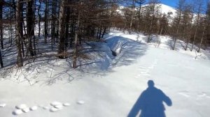 снегоход стелс викинг 800 и немного рыбы