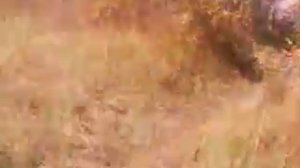 что стало с озером "Крюковка" г. Усолье-Сибирское часть4