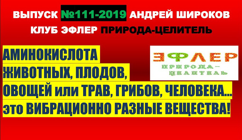 ХИМИЯ НЕ ЛИНЕЙНА, НЕ ДВУМЕРНА. СТРОЕНИЕ МОЛЕКУЛ В ТРЁХМЕРНОЙ РЕАЛЬНОСТИ. ЭФИР. ПОЛЯ. АМИНОКИСЛОТЫ.