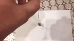 Идеомоторный эффект