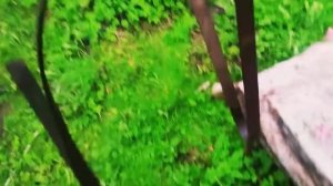 Переноска для стекол