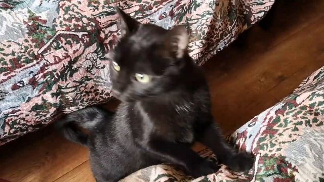 Волгоград смотреть онлайн