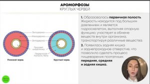 БИОЛОГИЯ ЕГЭ - Тип Круглые черви