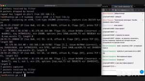 Tcpdump // Демо-занятие курса «Administrator Linux.Basic»